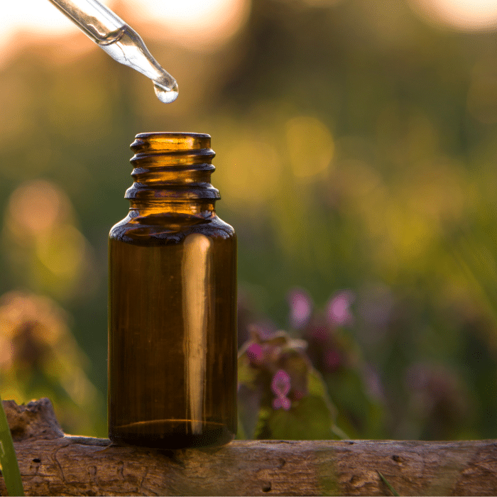 herbal remedies for summer