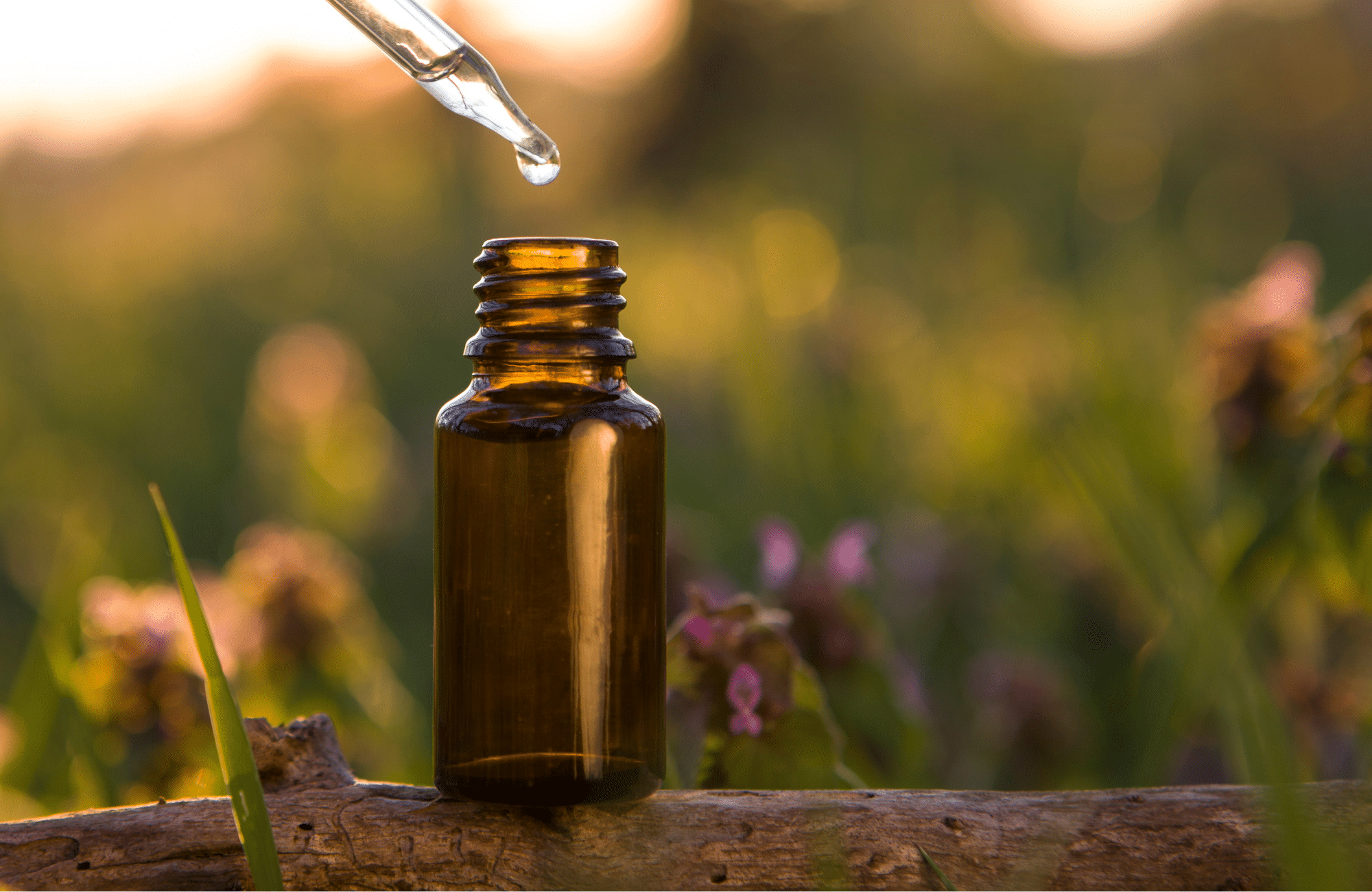 herbal remedies for summer